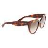 Brown Acetate Sunglasses - Image 3