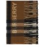 Archivio Check Scarf - Image 3
